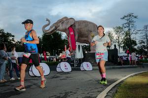 BIB: 
                            <button type="button" onclick="openModal(26529461)" class="btn btn-primary btn-sm float-right btn-popup" data-toggle="modal" data-target=".modal-high-quality">
                        <i class="fas fa-shopping-cart"></i> Add to Cart
                    </button>
                                            <button type="button" onclick="isThisMe(26529461, true)" class="btn btn-success btn-sm float-right btn-popup btn-isme hidden" data-toggle="tooltip" data-placement="bottom" title="นี่คือรูปของคุณใช่ไหม คลิกที่นี่เพื่อเอาเข้าอัลบั้ม">
                        <i class="fas fa-plus"></i> Add to album
                    </button>
                    <button type="button" onclick="isThisMe(26529461, false)" class="btn btn-warning btn-sm float-right btn-popup btn-isnotme hidden">
                        <i class="fas fa-ban"></i> Remove from album
                    </button>